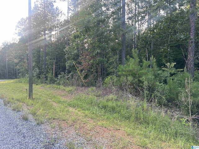 0 Summerset Ln None, Unit None, Munford, AL 36268