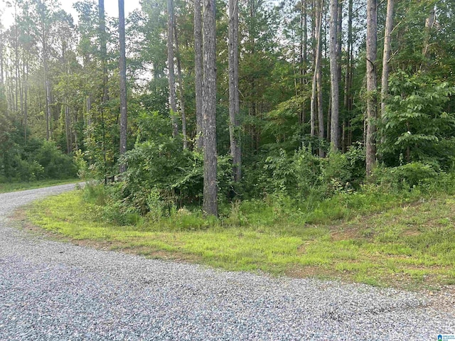 0 Summerset Ln None, Unit None, Munford, AL 36268