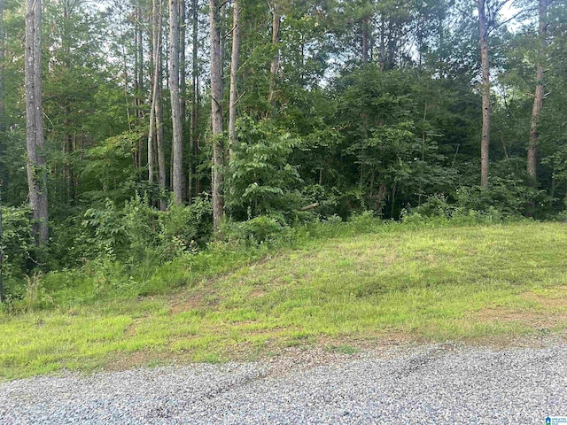 0 Summerset Ln None, Unit None, Munford, AL 36268