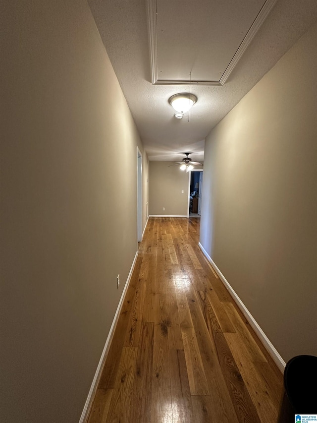 76 Goggins Dr, Montevallo, AL 35115 - corridor with attic access and hardwood / wood-style floors