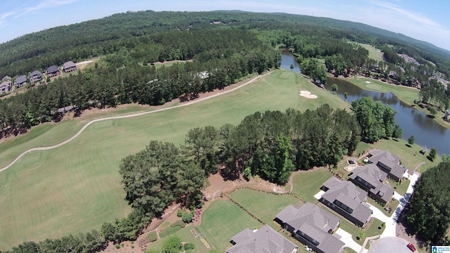 1120 Weybridge Way, Pelham, AL 35124 - aerial overview of property's location featuring a nearby body of water and a golf club