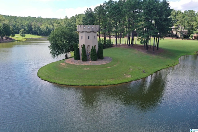 1120 Weybridge Way, Pelham, AL 35124 - view of community with a water view and a lawn