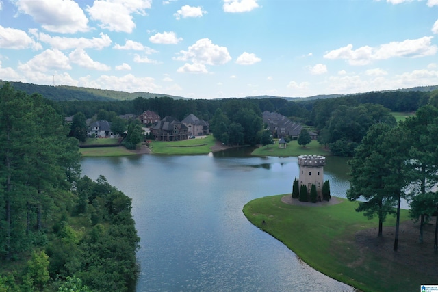 1120 Weybridge Way, Pelham, AL 35124 - water view featuring a heavily wooded area
