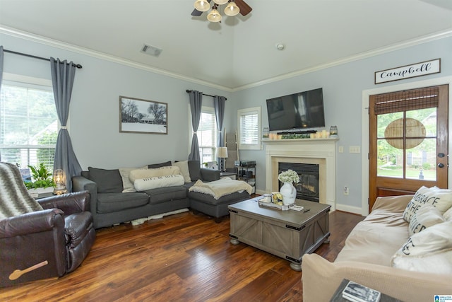 1120 Weybridge Way, Pelham, AL 35124 - living area with crown molding, a glass covered fireplace, a ceiling fan, dark wood-style flooring, and lofted ceiling