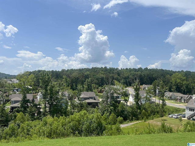 1234 Simms Rdg, Pelham, AL 35124 - mountain view with nearby suburban area