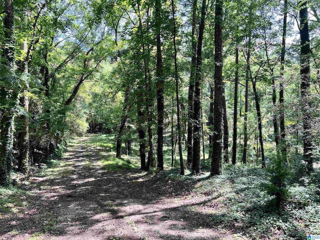 1998 W 1st Ave Unit 4.33, Maylene, AL 35007