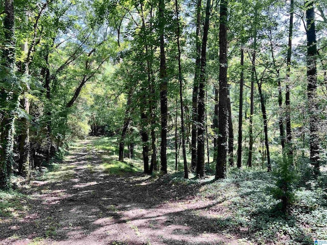 1998 W 1st Ave Unit 4.33, Maylene, AL 35007