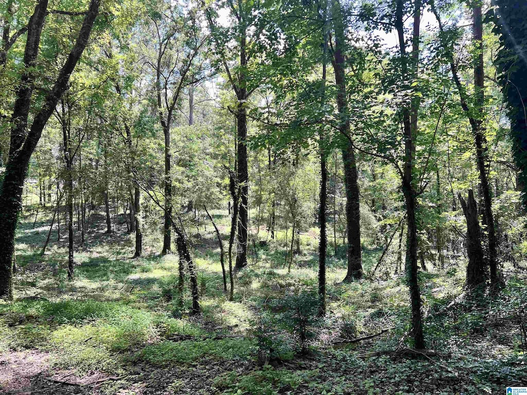 1998 W 1st Ave Unit 4.33, Maylene, AL 35007