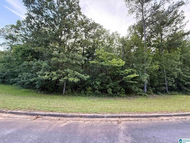 7533 Colonial Trace Cir Unit 24, Bessemer, AL 35022