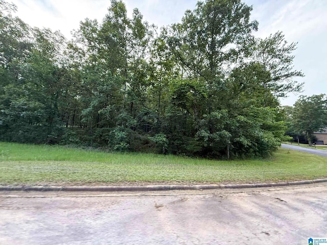 7533 Colonial Trace Cir Unit 24, Bessemer, AL 35022