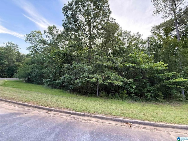 7533 Colonial Trace Cir Unit 24, Bessemer, AL 35022
