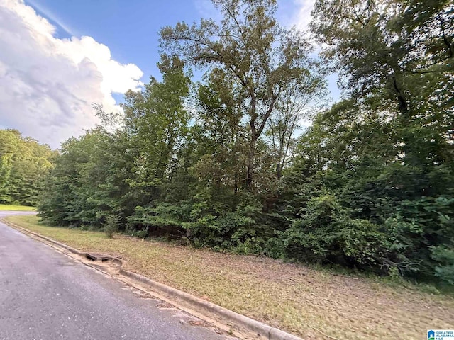 7533 Colonial Trace Cir Unit 24, Bessemer, AL 35022