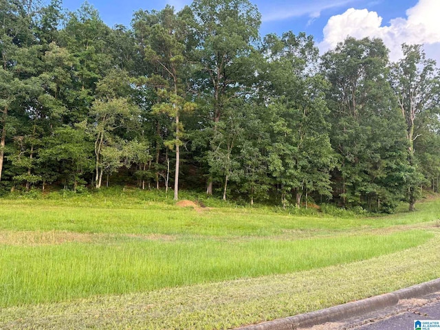 7577 Colonial Trace Cir Unit 23, Bessemer, AL 35022