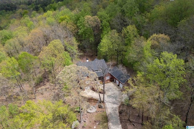 1007 Eagle Hill Dr, Birmingham, AL 35242 - view of subject property with a heavily wooded area