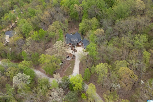 1007 Eagle Hill Dr, Birmingham, AL 35242 - view of subject property featuring a forest