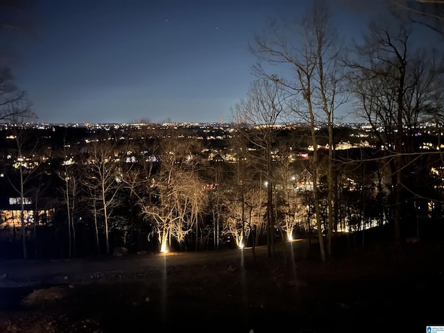 1007 Eagle Hill Dr, Birmingham, AL 35242 - view of yard