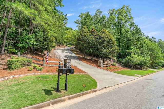 1007 Eagle Hill Dr, Birmingham, AL 35242 - view of front facade with a front yard and driveway