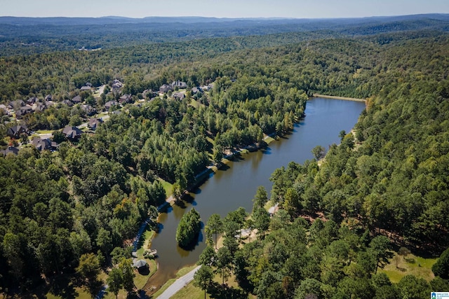 1185 Overlook Dr, Trussville, AL 35173 - view of property location featuring a heavily wooded area and a large body of water