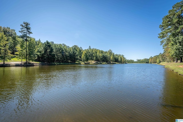 1185 Overlook Dr, Trussville, AL 35173 - water view with a heavily wooded area