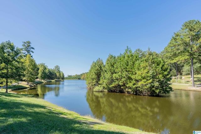 1185 Overlook Dr, Trussville, AL 35173 - water view featuring a forest