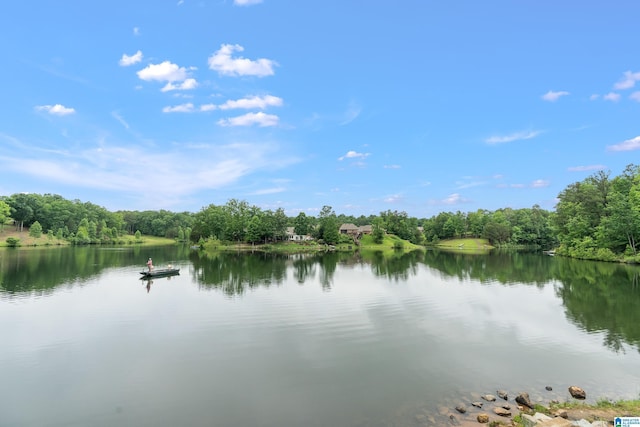 1185 Overlook Dr, Trussville, AL 35173 - water view featuring a heavily wooded area