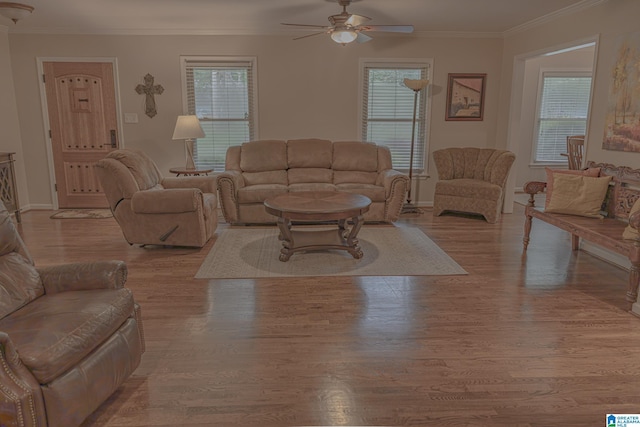 2191 Whiting Rd, Hoover, AL 35216 - living room with a ceiling fan, crown molding, and light wood-style flooring