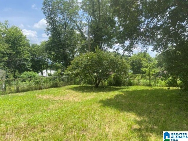 209 61st St, Fairfield, AL 35064 - view of green lawn
