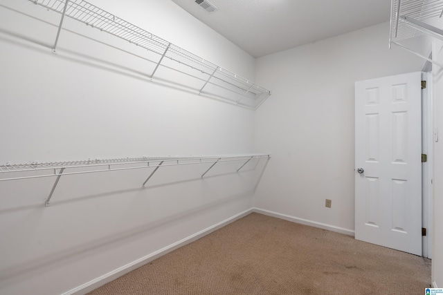 313 Chadwick Pl, Helena, AL 35080 - walk in closet with light colored carpet