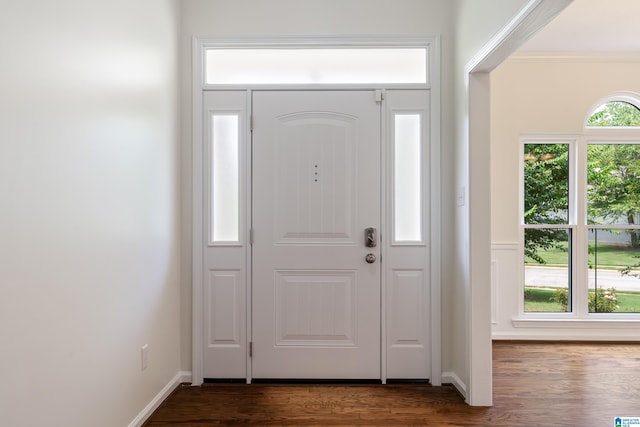 313 Chadwick Pl, Helena, AL 35080 - foyer with dark wood-style flooring and crown molding