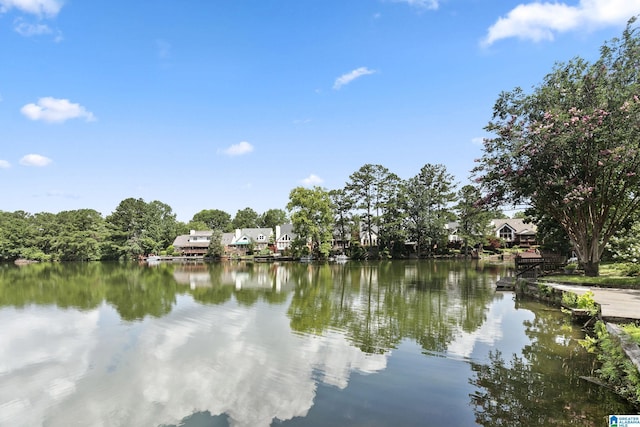 4652 Lake Valley Dr, Hoover, AL 35244 - water view