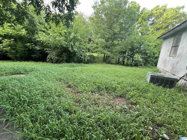 3019 7th Ave N, Bessemer, AL 35020 - view of yard