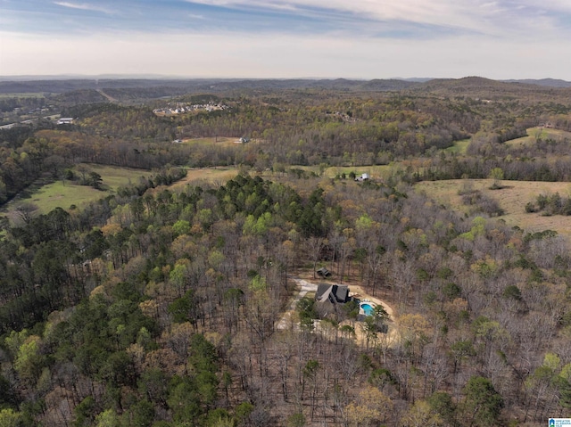 6902 Honor Keith Rd, Trussville, AL 35173 - view of property location featuring a forest