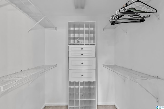 5521 Magnolia Trce, Hoover, AL 35244 - view of walk in closet