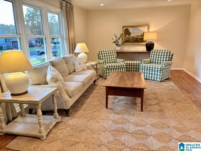 2713 Altadena Lake Rd, Birmingham, AL 35243 - living room featuring wood finished floors and recessed lighting