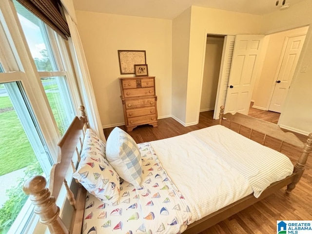 2713 Altadena Lake Rd, Birmingham, AL 35243 - bedroom featuring multiple windows, a closet, and wood finished floors