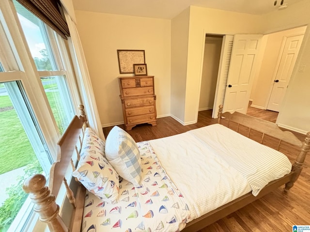 2713 Altadena Lake Rd, Birmingham, AL 35243 - bedroom featuring multiple windows, wood finished floors, and a closet