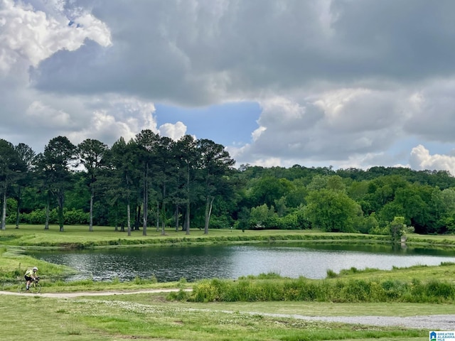 2713 Altadena Lake Rd, Birmingham, AL 35243 - water view featuring a heavily wooded area