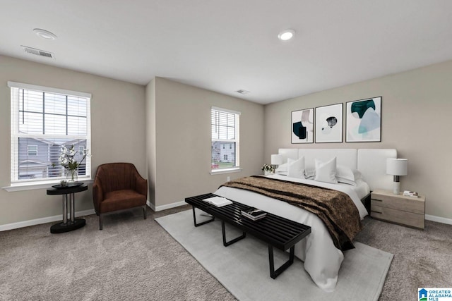 6370 Rainbow Row, Pell City, AL 35128 - bedroom with carpet and baseboards