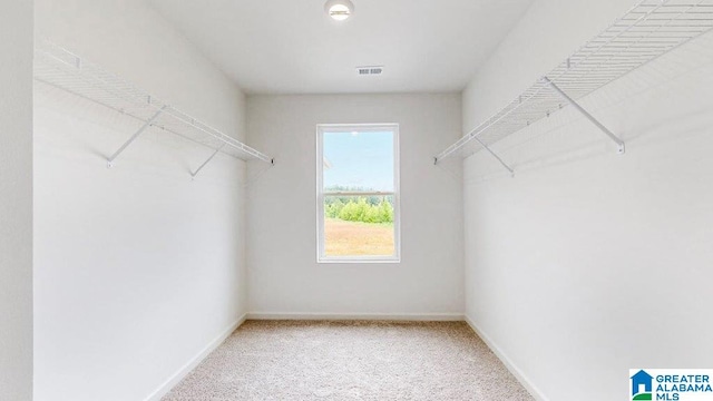 545 Sterling Pl, Odenville, AL 35120 - walk in closet with carpet