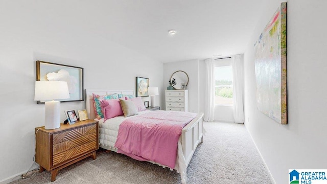 545 Sterling Pl, Odenville, AL 35120 - view of carpeted bedroom