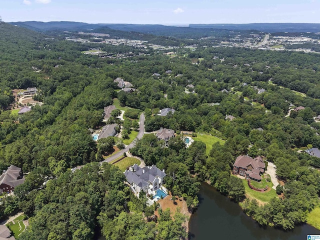 5615 Canongate Ln, Hoover, AL 35242 - aerial view of property and surrounding area with a nearby body of water and a forest