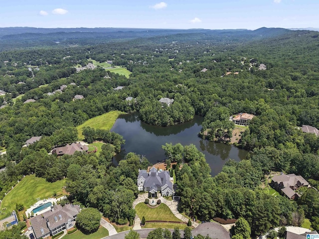 5615 Canongate Ln, Hoover, AL 35242 - aerial view of property's location featuring a heavily wooded area