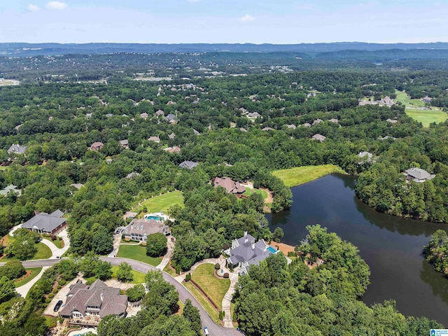 5615 Canongate Ln, Hoover, AL 35242 - drone / aerial view of a nearby body of water and a forest
