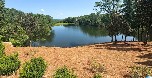 5615 Canongate Ln, Hoover, AL 35242 - water view