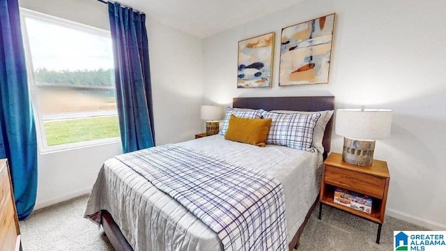 365 Koslin Loop, Calera, AL 35040 - carpeted bedroom with baseboards