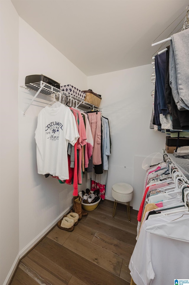 5904 Russet Meadows Way, Helena, AL 35244 - walk in closet with wood-type flooring