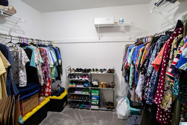 1822 Oakleaf Ln, Center Point, AL 35215 - spacious closet with carpet flooring