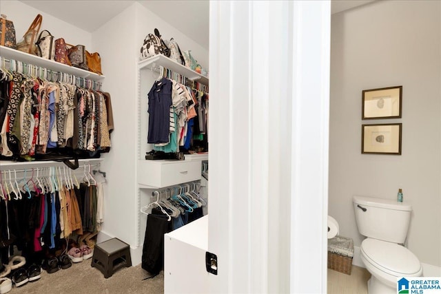 4549 Brexton St, Trussville, AL 35173 - spacious closet featuring carpet flooring