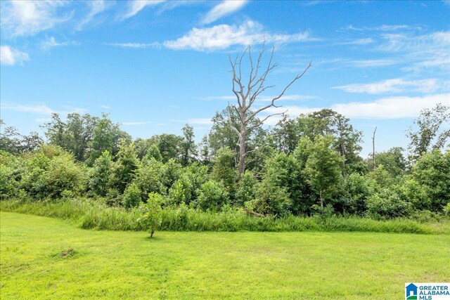 4549 Brexton St, Trussville, AL 35173 - view of green lawn