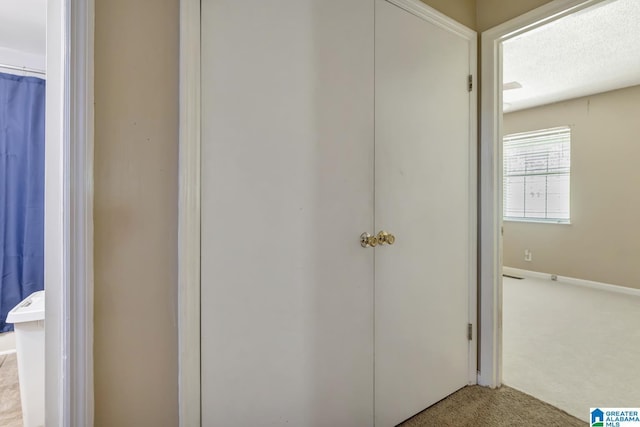 7839 Old Bradford Rd, Pinson, AL 35126 - corridor featuring carpet flooring and baseboards
